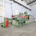 Disposable Foam Lunch Food Box Forming Machine